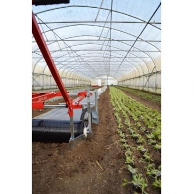 Estufa agrícola com plantas verdes e equipamento agrícola vermelho