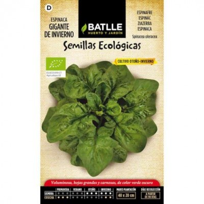 Pacote de sementes ecológicas de espinafre Gigante de Inverno com planta verde escura