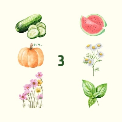Ilustração de vegetais, flores e número 3 ao centro