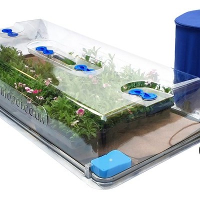 Estufa de cultivo transparente com plantas e tanque azul Flexi