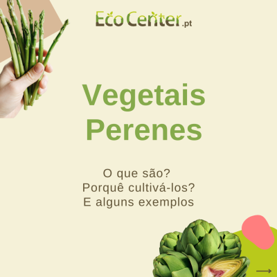 Promoção de vegetais perenes com espargos e alcachofras