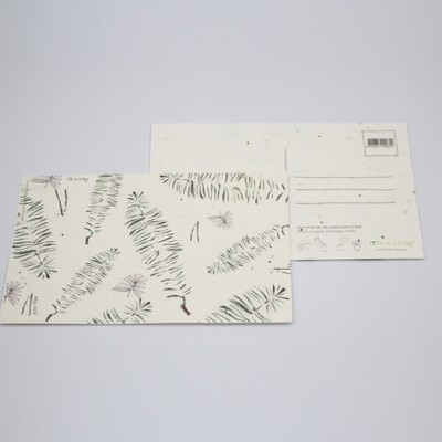 Postais com ilustrações botânicas e verso para endereço