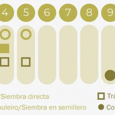 Calendário de cultivo com símbolos coloridos e legendas em português e espanhol