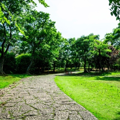 Parque com caminho de pedra e árvores verdes