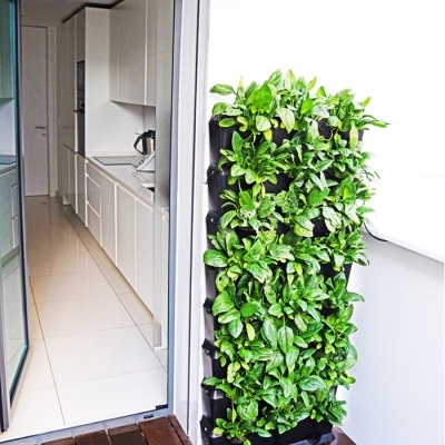 https://loja.ecocenter.pt/product/minigarden-kitchen-garden