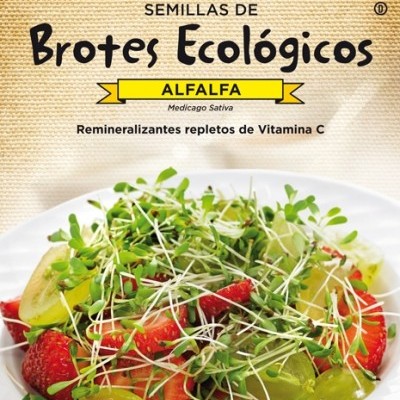 https://loja.ecocenter.pt/product/bio-rebentos-alfalfa-luzerna