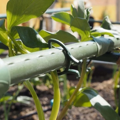 https://loja.ecocenter.pt/product/clipes-de-suporte-para-plantas-clips
