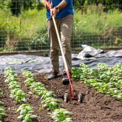 Homem a usar ferramenta de jardinagem de cabo de madeira e estrutura vermelha com rodas em cultivo de plantas verdes