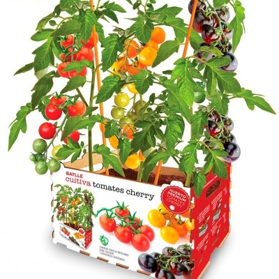 https://loja.ecocenter.pt/product/horto-premium-tomate-cherry
