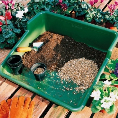 Bandeja verde com terra, pedras, ferramentas de jardinagem e luvas laranja numa mesa de madeira com plantas florescentes