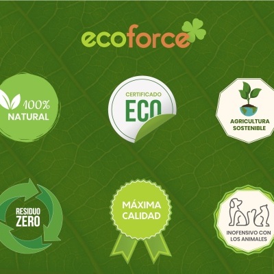 Selos ecológicos e naturais com textos em fundo verde com padrão de folha