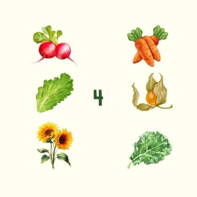 Ilustrações de vegetais e flores com número 4 no centro