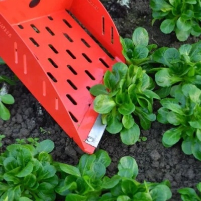 Ferramenta vermelha metálica usada para colher plantas verdes numa horta