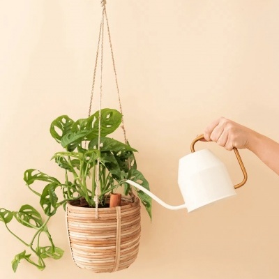 Jarra branca com alça dourada a regar planta em vaso suspenso de vime