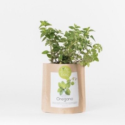 Planta de orégãos em vaso de papel com etiqueta Life bag Oregano