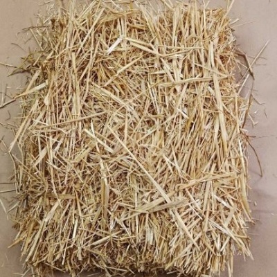 https://loja.ecocenter.pt/product/cobertura-de-palha-2-4-6-kgs