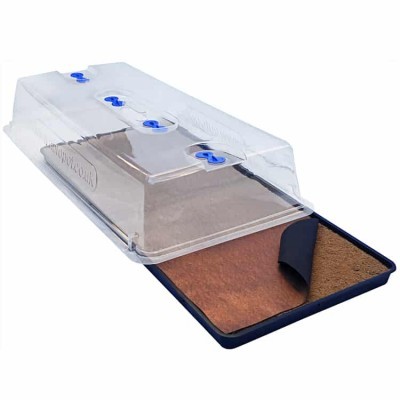 Estufa de sementes com tampa transparente e base preta com substrato castanho