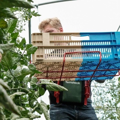 Cesta plástica azul e bege com estrutura vermelha usada numa cintura, em estufa com plantas verdes.
