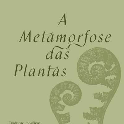Capa de livro A Metamorfose das Plantas de J. W. von Goethe com ilustração de folhas de samambaia