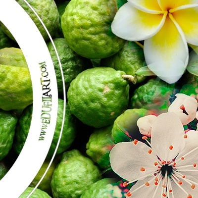 Frutos verdes tipo bergamota com flores plumeria e rosa