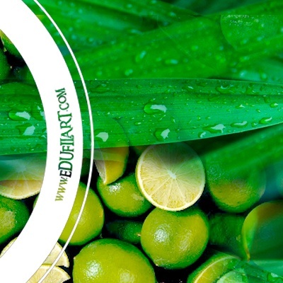 Limas verdes frescas com gotas de água e texto WWW.EDUFLIRT.COM