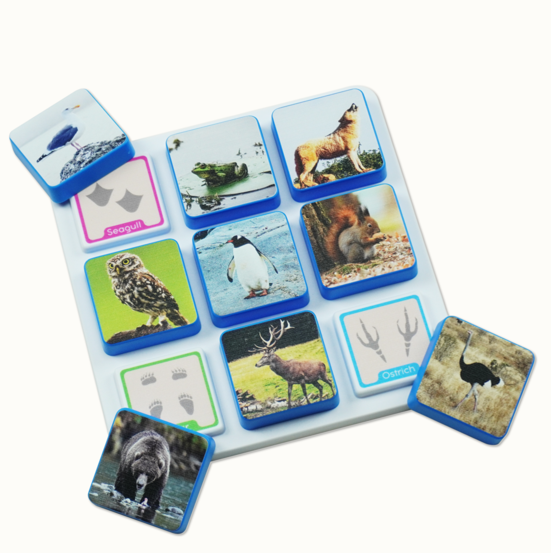 Animal puzzle pieces with blue edges showing various animal photos and some labeled with names