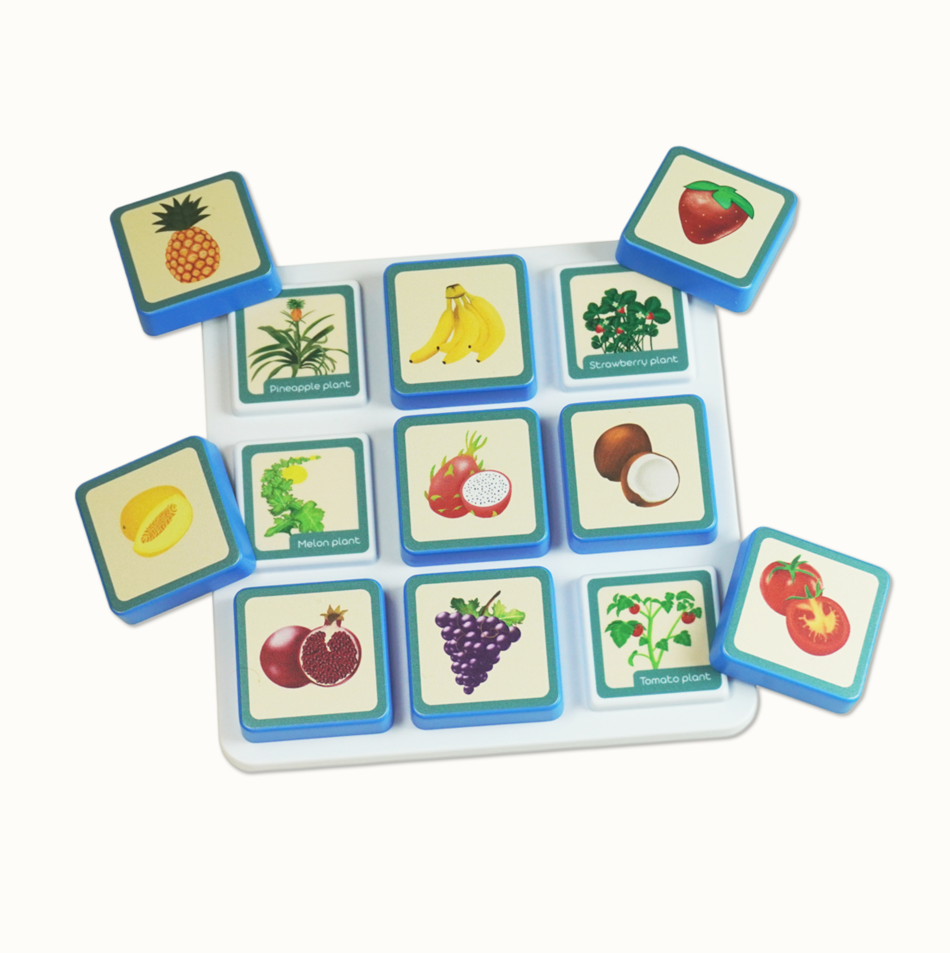 Educational wooden blocks with fruit and plant illustrations on white tray