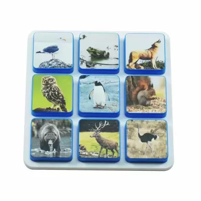 Super&#x20;Combo&#x20;Images&#x20;&#x2013;&#x20;Footprints&#x20;1