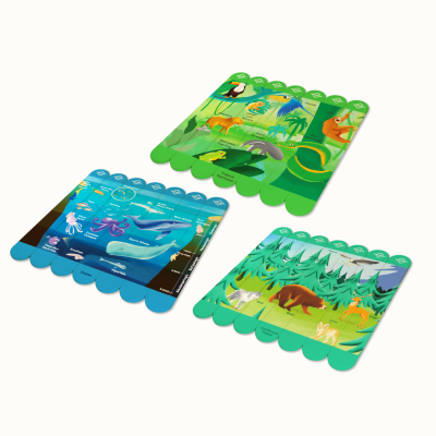 Mosaico&#x20;Puzzle&#x20;Pack&#x20;&#x2013;&#x20;10&#x20;Double-Sided&#x20;Educational&#x20;Puzzles