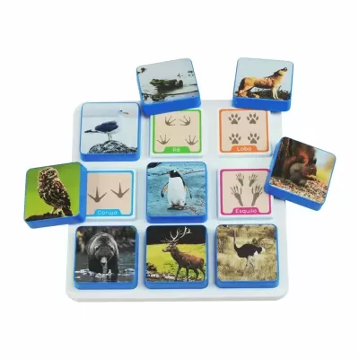 Super&#x20;Combo&#x20;Images&#x20;&#x2013;&#x20;Footprints&#x20;1