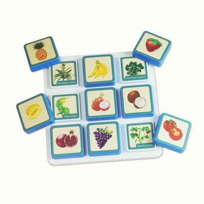 Educational wooden blocks with fruit and plant illustrations on white tray