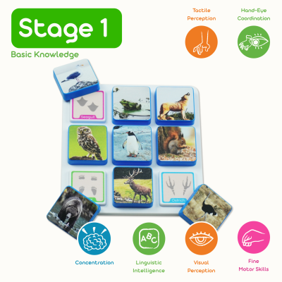 Super&#x20;Combo&#x20;Images&#x20;&#x2013;&#x20;Footprints&#x20;1