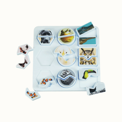 Poly&#x20;Match&#x20;Images&#x20;&#x2013;&#x20;Animals&#x20;&#x2013;&#x20;Matching&#x20;Game