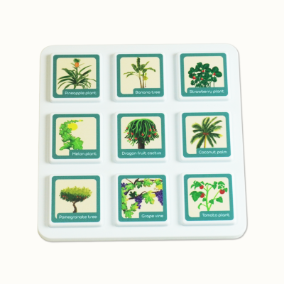 Super&#x20;Combo&#x20;Images&#x20;&#x2013;&#x20;Fruits&#x20;2