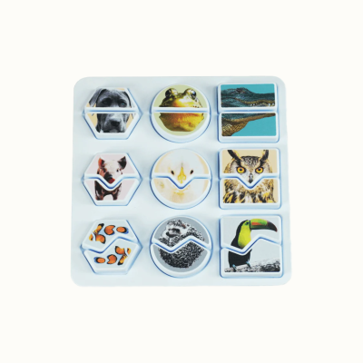 Poly&#x20;Match&#x20;Images&#x20;&#x2013;&#x20;Animals&#x20;&#x2013;&#x20;Matching&#x20;Game