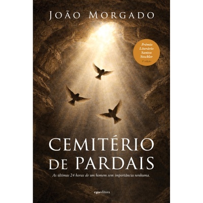Capa de livro com leitos de caverna e pássaros voando em luz do topo