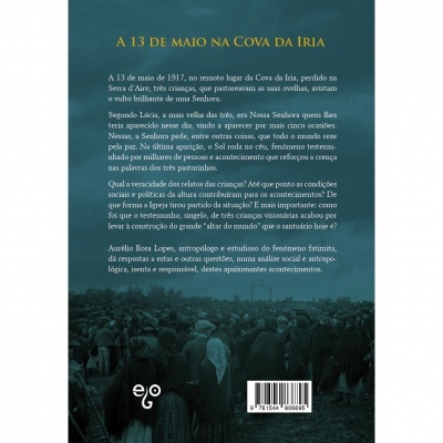 Contracapa de livro em tons azul e verde, texto em português com foto de grupo de pessoas