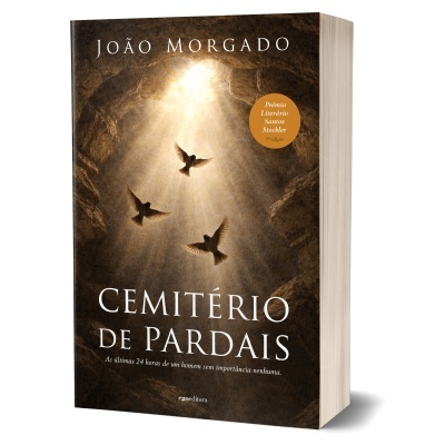 Capa do livro Cemitério de Pardais com iluminação dourada e pombas a voar