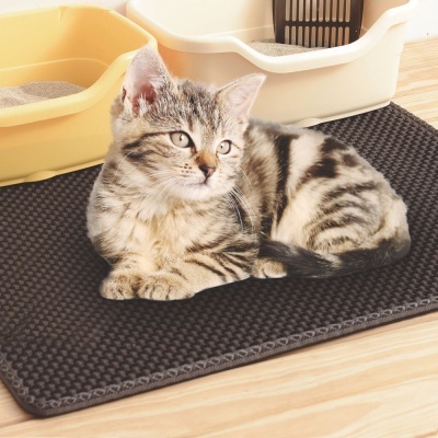 Gato tigrado numa passadeira preta ao lado de caixotes sanitários amarelo e bege