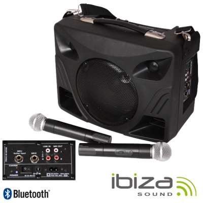 Coluna de som preta Ibiza Sound com dois microfones e painel traseiro com entradas.