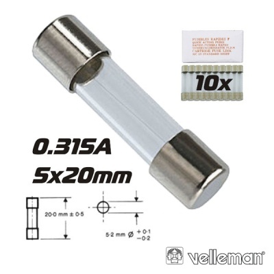 Fusível de vidro cilíndrico 0.315A 5x20 mm com terminal metálico prateado e embalagem de 10 unidades
