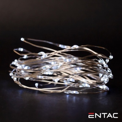 Cordão de luzes LED com pequenas lâmpadas e fios finos prateados, texto ENTAC