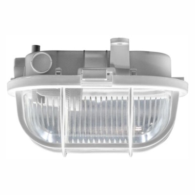 Luz exterior para parede com cúpula transparente e estrutura cinzenta