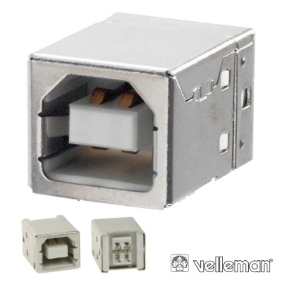 Conector USB tipo B metálico e plástico branco com contactos dourados com fundo branco