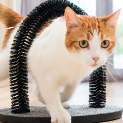 Riscador oval preto com arcos de cerdas pretas e gato branco e castanho