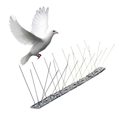 Espícula anti-pássaros com pomba voando sobre fundo branco