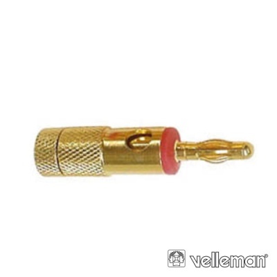 Conector áudio banana dourado com anel vermelho e corpo texturizado.