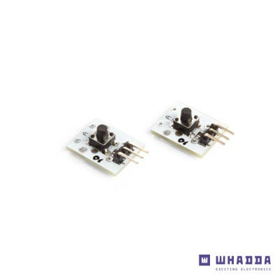 Dois módulos eletrónicos brancos com componentes pretos e pinos metálicos sobre fundo branco.