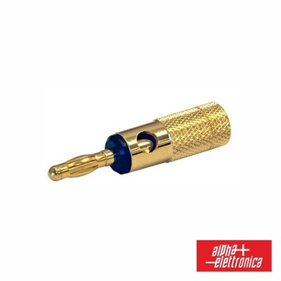 Conector banana dourado texturizado com fundo branco e logótipo alfa eletrónica
