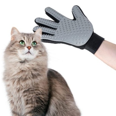 Luva de toque cinza com pinos flexíveis ao lado de gato cinza de pelo longo